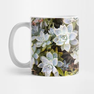 Succulents Mug